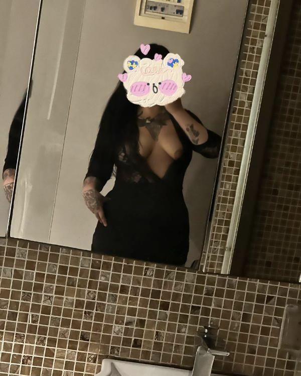 南宁坦克小猫